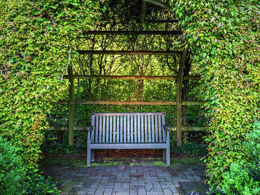 Garden Trellis Bench in Spring Photograph by Rachel Morrison Garden Trellis Bench in Spring Photograph by Rachel Morrison