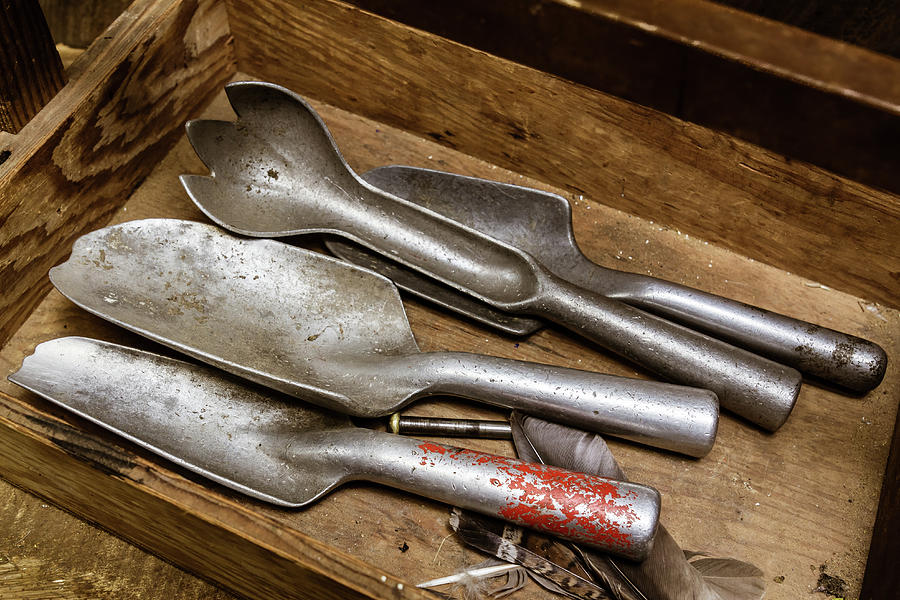 Garden trowels Photograph by Cindy Shebley