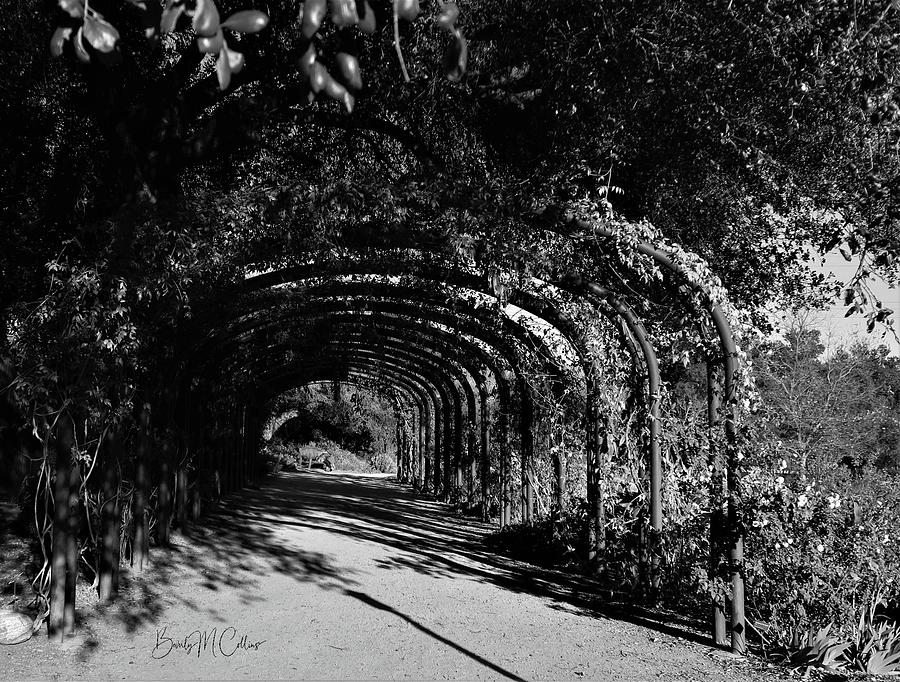 Garden Tunnel Photograph by Beverly M Collins