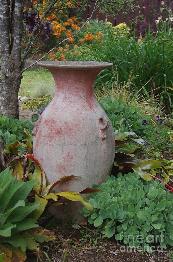 Garden Urn Photograph by Lesley Evered