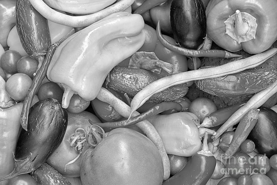 Garden Vegetable Collection Black And White Photograph by Adam Jewell