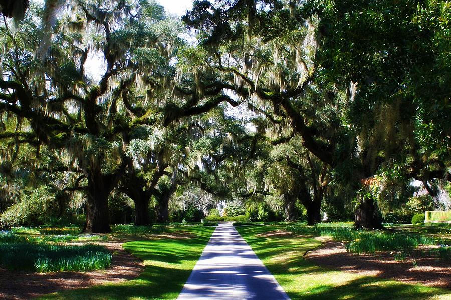 Garden Walk Photograph By Chuck Irwin - Fine Art America