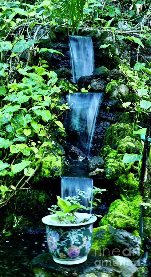 Garden Waterfall Photograph by Craig Wood