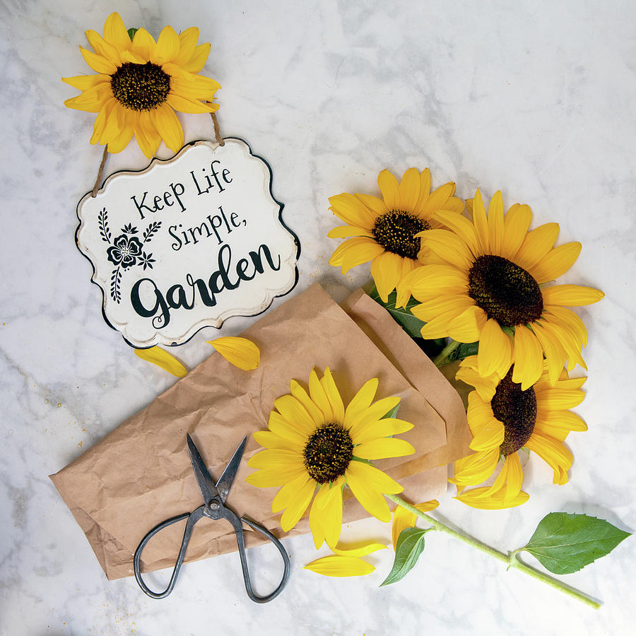 Garden with Sunflowers Photograph by Rebecca Cozart