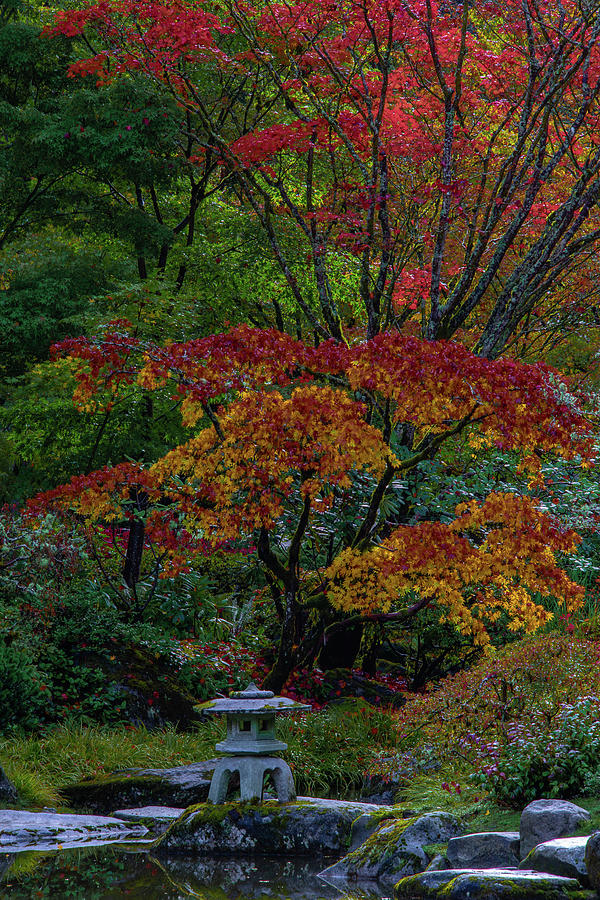 Garden Zen Photograph by Emerita Wheeling