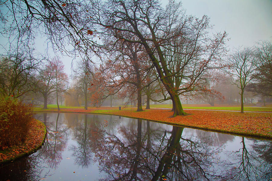 Garden7 Photograph by Ameya M | Fine Art America