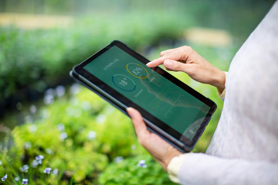 Gardener using digital tablet for information about new plants Photograph by Luis Alvarez