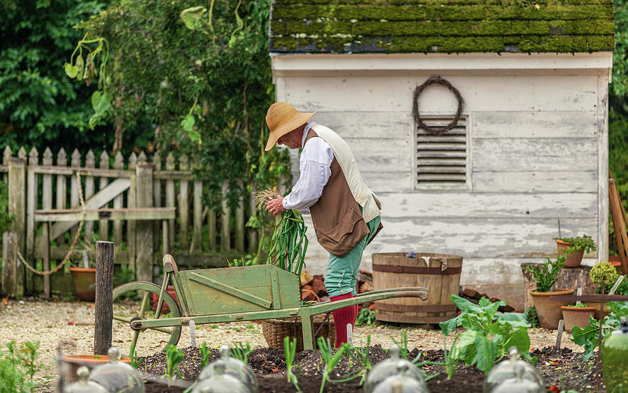 Gardener with Vegetables Photograph by Rachel Morrison