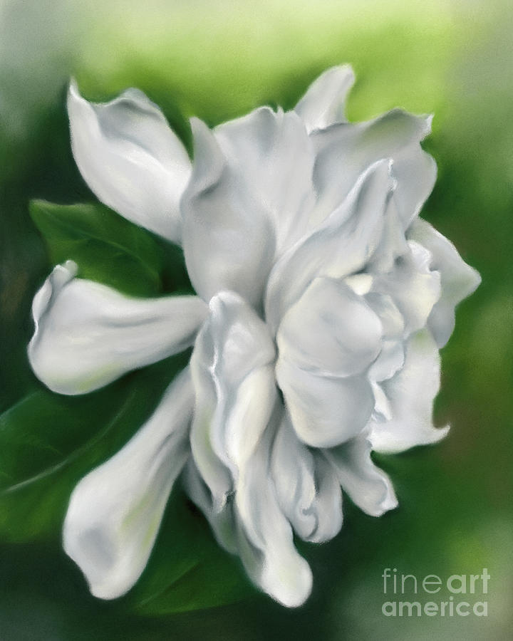 Gardenia White on Green Painting by MM Anderson