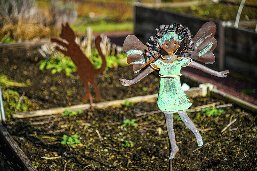 Gardening Angel Photograph by Lynn Thomas Amber
