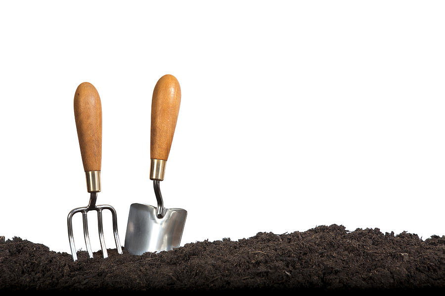 Gardening Hand Tools on White Background Photograph by Cjp