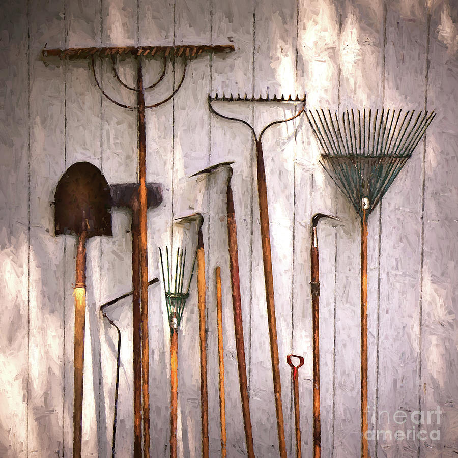 Gardening Tools Photograph