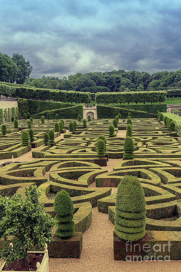Gardens at Chateau Villandry, France 5 Photograph by Elaine Teague