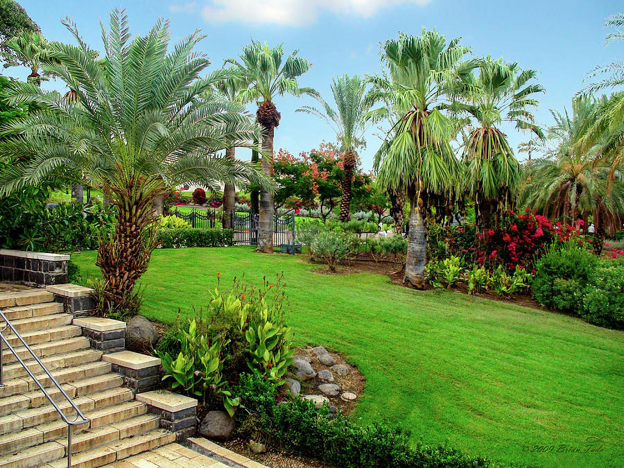 Gardens at Mount of Beatitudes Israel Photograph by Brian Tada