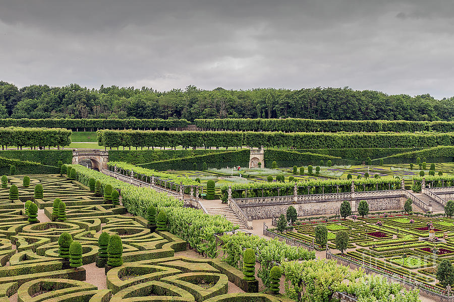 Gardens at the Chateau de Villandry, Loire Valley, France Photograph by Elaine Teague