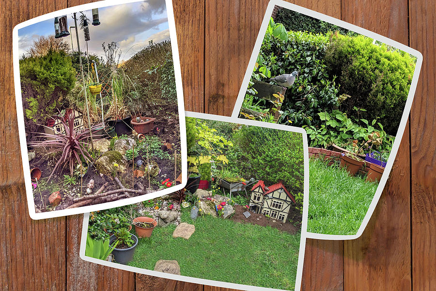 Garden Digital Art - Gardens Contest by Carlos Vieira Garden Digital Art - Gardens Contest by Carlos Vieira