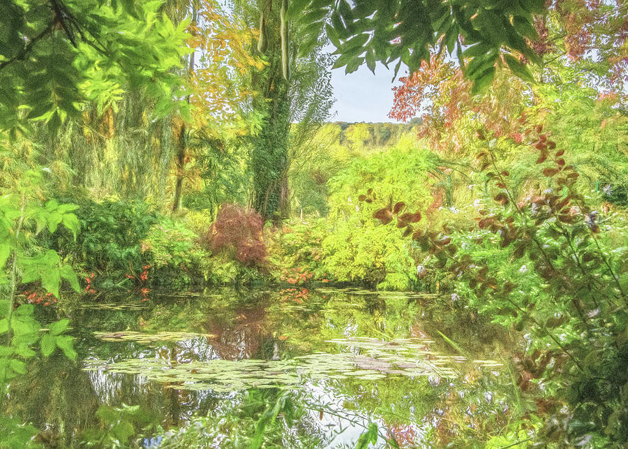 Gardens of Monet, France Photograph by Marcy Wielfaert