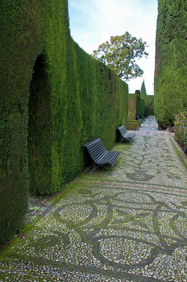 Gardens of Paradise - Granada, Spain Photograph by Denise Strahm