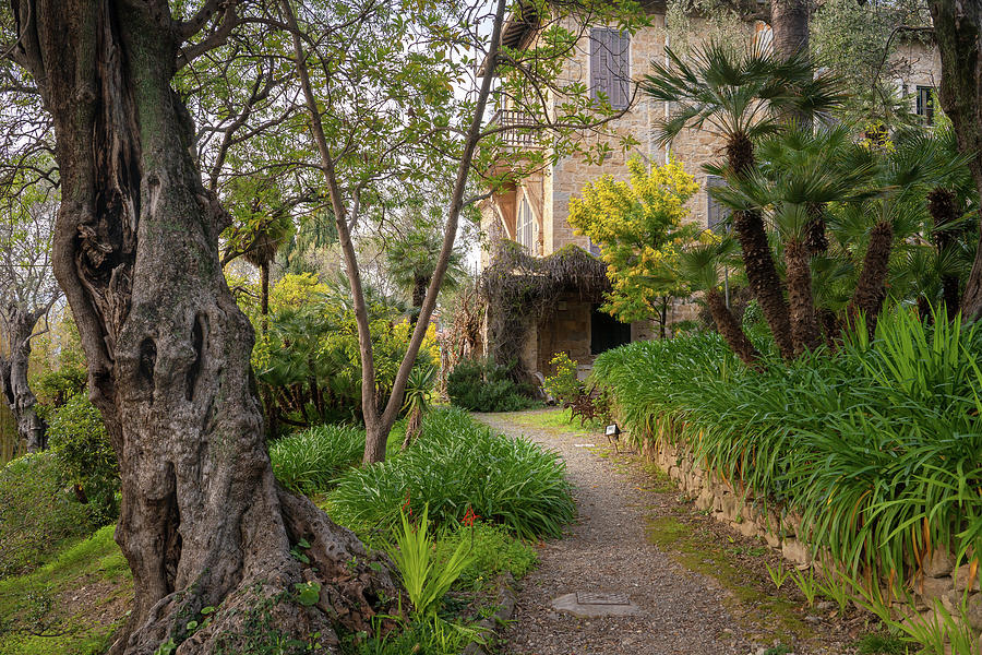 Gardens of Villa Pompeo Mariani - Bordighera - Italy Photograph by Jenny Rainbow