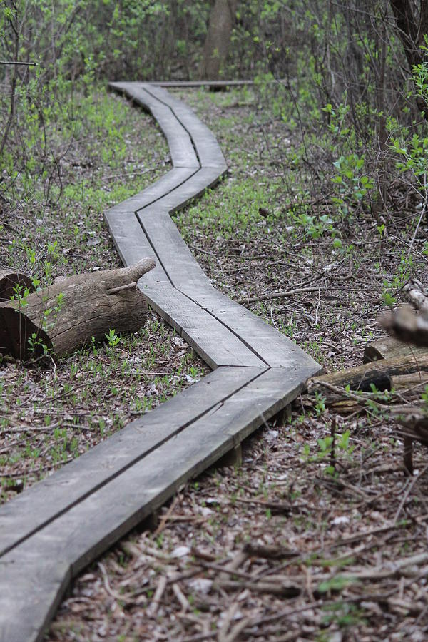 Uw Arboretum Photograph - Gardner Marsh Boardwalk by Callen Harty Uw Arboretum Photograph - Gardner Marsh Boardwalk by Callen Harty