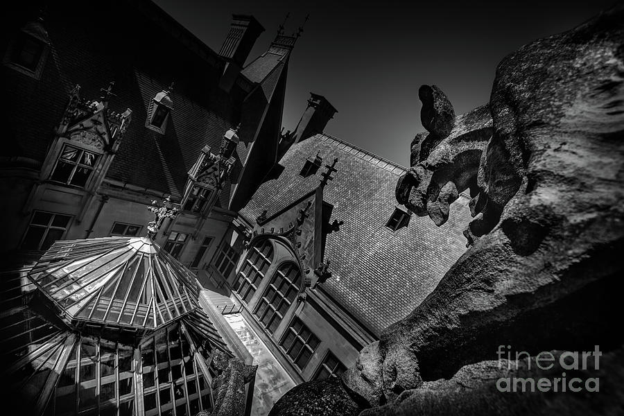 Gargoyle Attack Photograph by Doug Sturgess