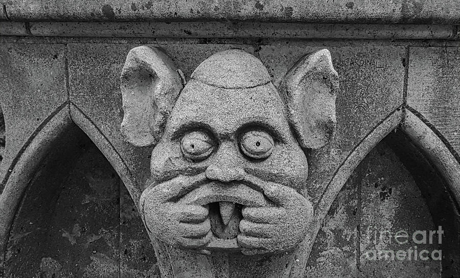 Gargoyle  Deans Park York England Photograph by Pics By Tony