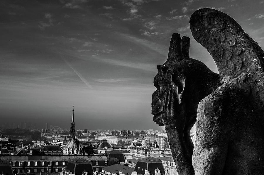 Gargoyle of Notre Dame  Photograph by Pablo Saccinto