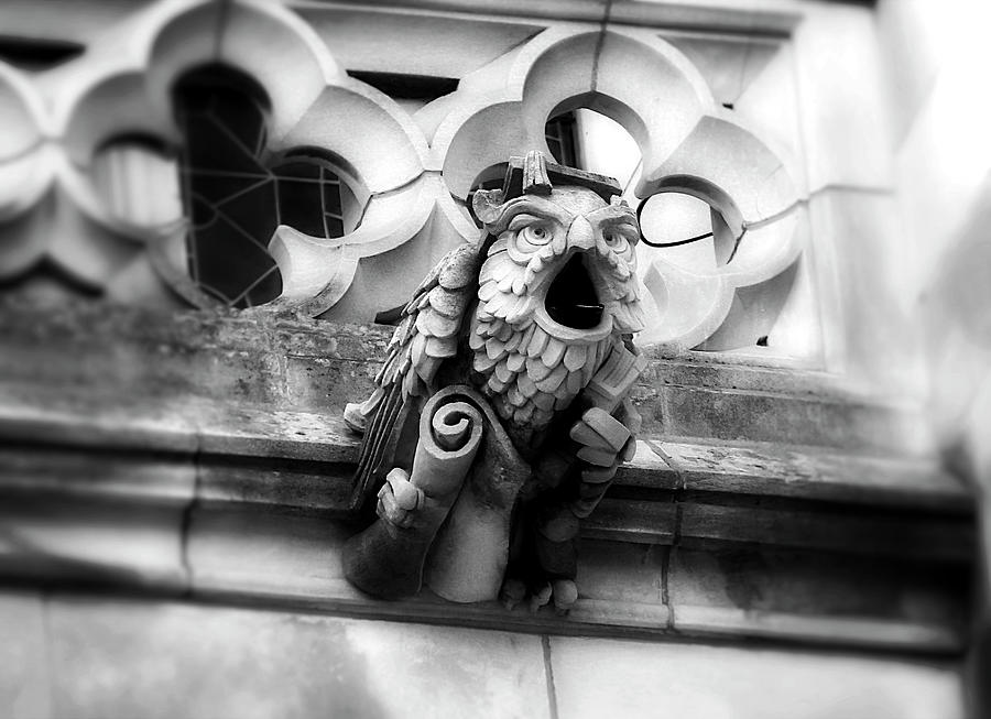 Wise Owl Gargoyle Of Washington National Cathedral Photograph