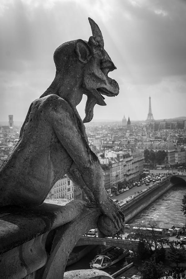 Gargoyle overlooking Paris Photograph by Falcon0125