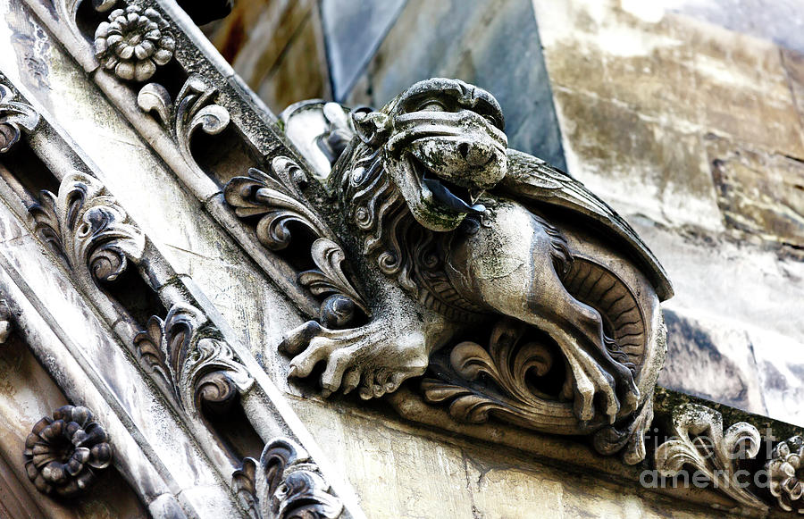 Gargoyle Watching You at Westminster Abbey Photograph by John Rizzuto