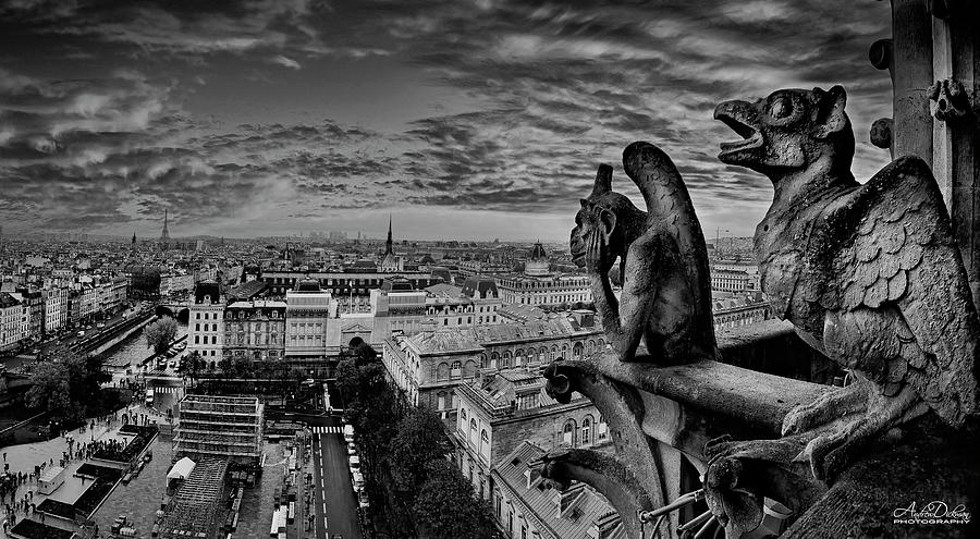 Gargoyles of Paris Photograph by Andrew Dickman