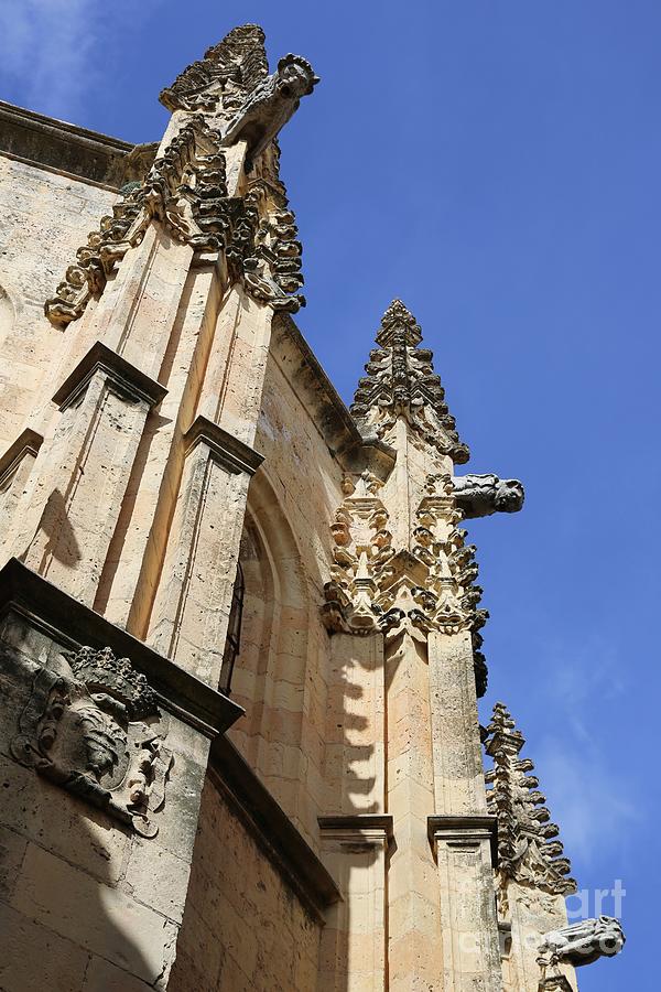 Gargoyles of Segovia Photograph by Carol Groenen