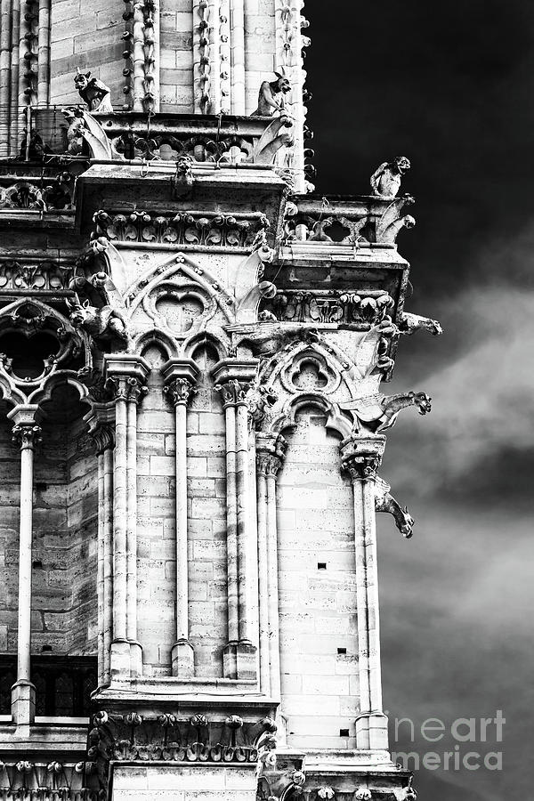 Gargoyles on Notre Dame de Paris Photograph by John Rizzuto