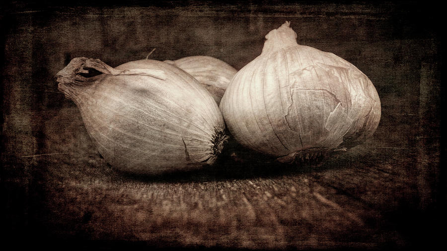 Garlic And Shallot Still Life Sepia Toned Photograph Photograph by Ann Powell