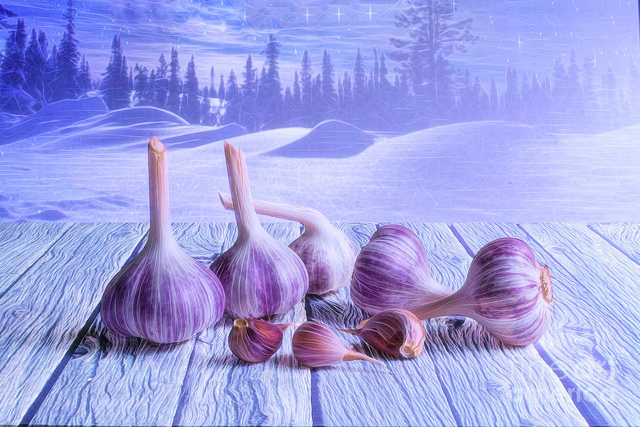 Magic Digital Art - Garlic and winter by Veikko Suikkanen