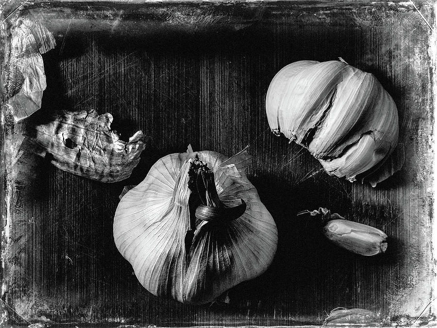 Garlic Photograph by Bob Orsillo