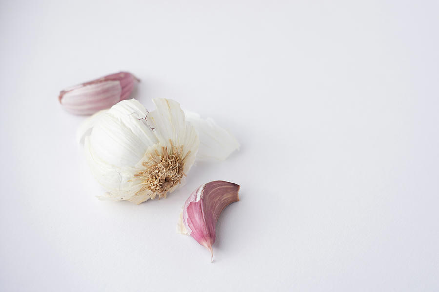 Garlic Bub Side View Photograph by Scott Lyons
