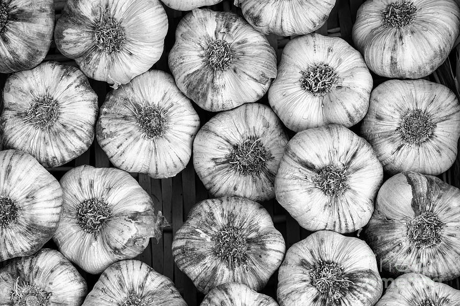 Garlic Bulbs Monochrome Photograph by Tim Gainey