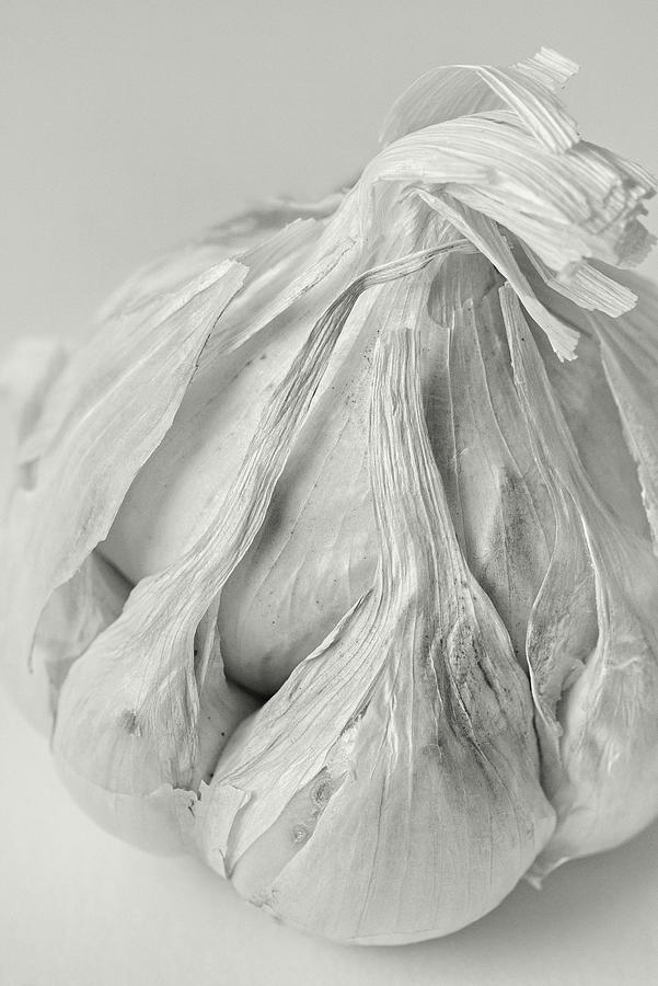 Garlic Clove Abstract Photograph by Richard Rizzo