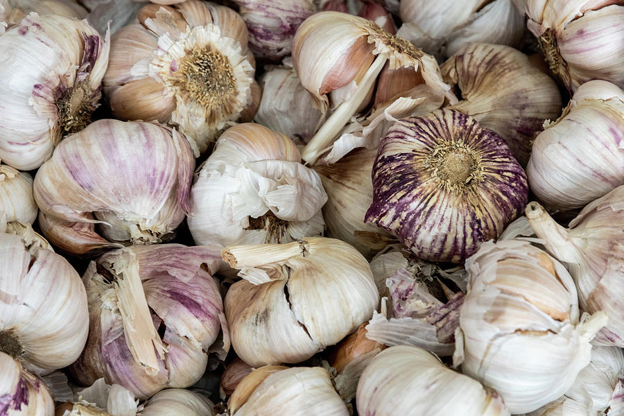 Garlic Cloves at a Market Photograph by Bradford Martin