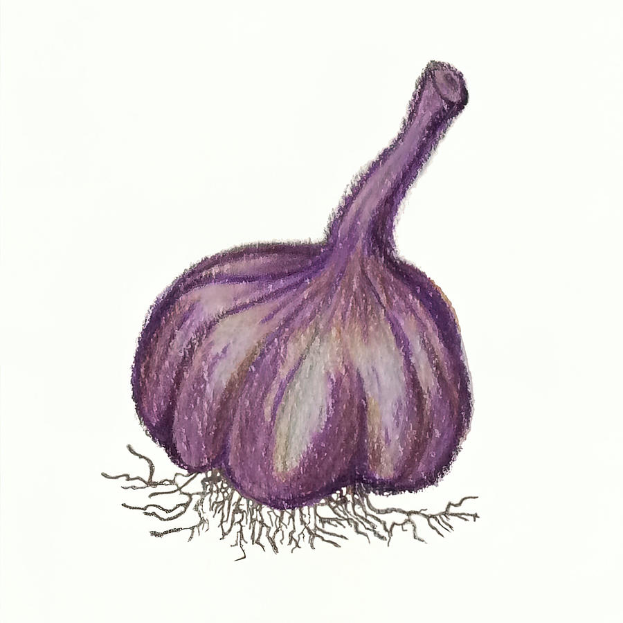 Garlic  Painting by Deborah League