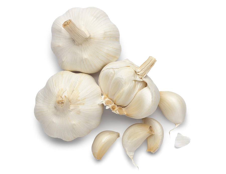 Garlic Photograph by Dny59