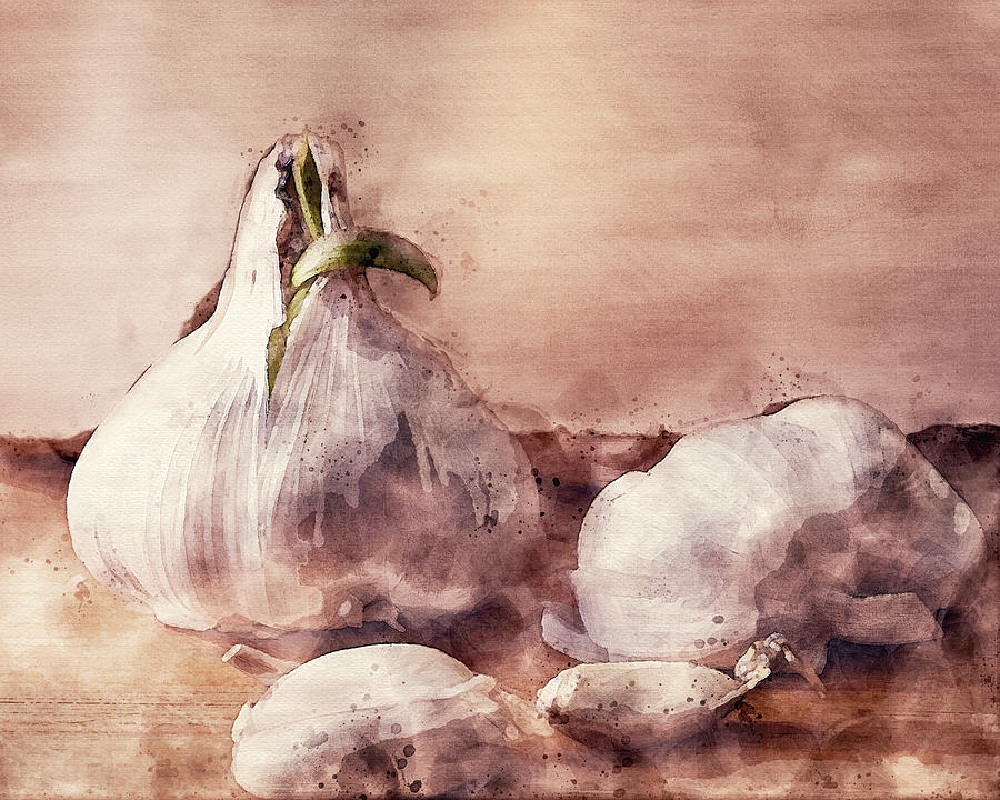 Garlic Still Life Painting by Bob Orsillo
