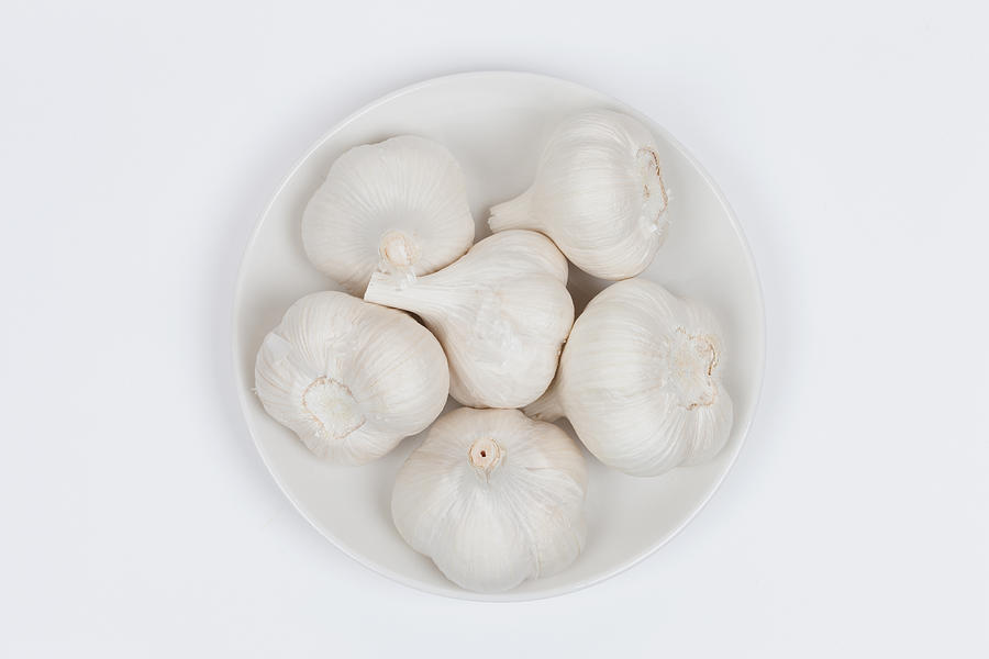Garlic Photograph by Y-studio