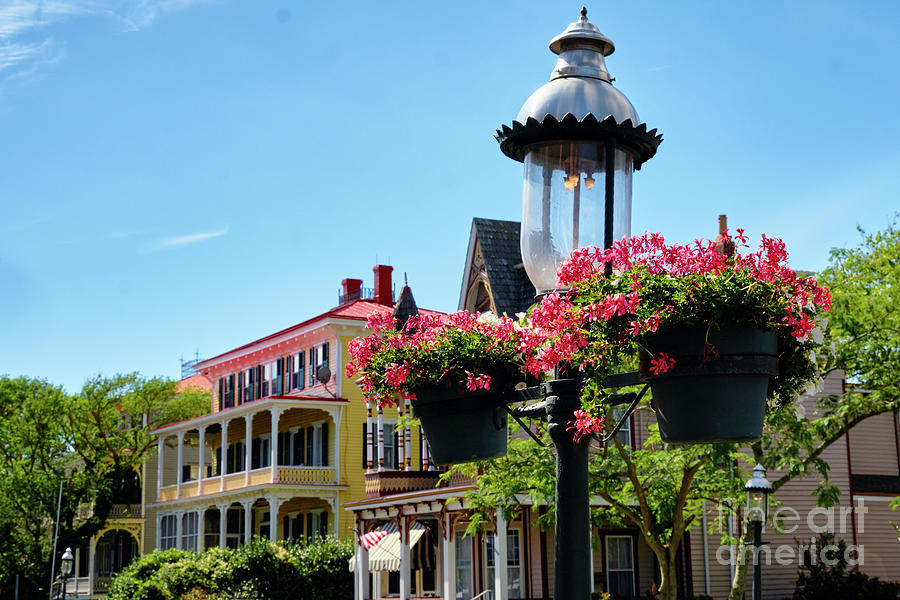 Gas Lamp With Red Potted Flowers On A Street, Cape May, New Jers Photograph