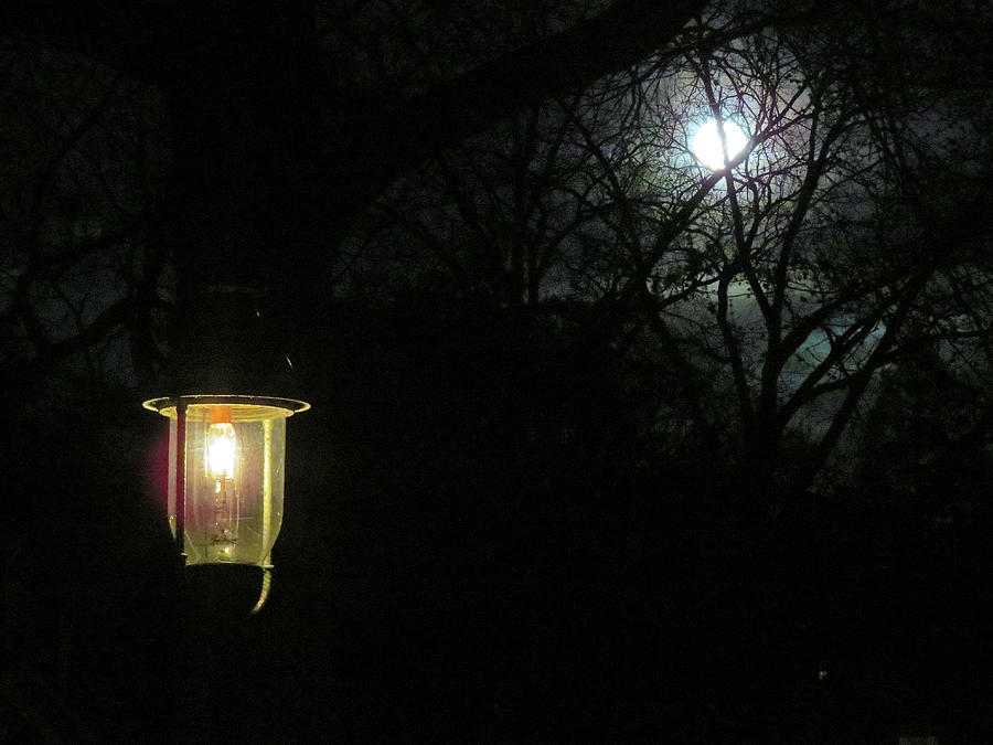 Gaslight and Moonlight at Night in Riverton New Jersey Photograph by Linda Stern