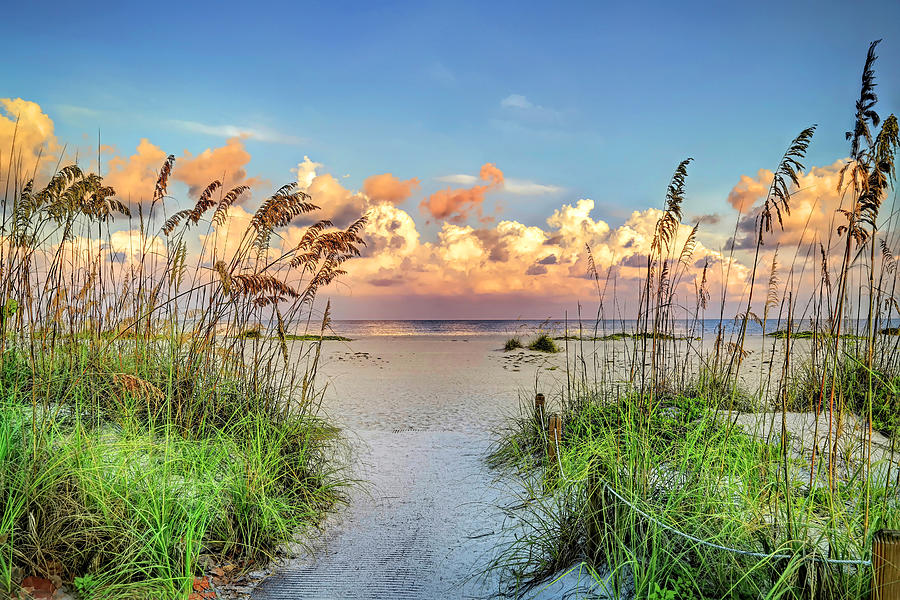 Gasparilla Island Beach Access Photograph by Donna Kennedy - Fine Art ...