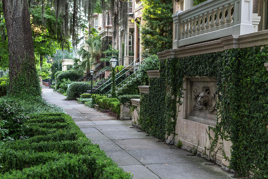 Gaston Street Photograph by John Alexander | Fine Art America