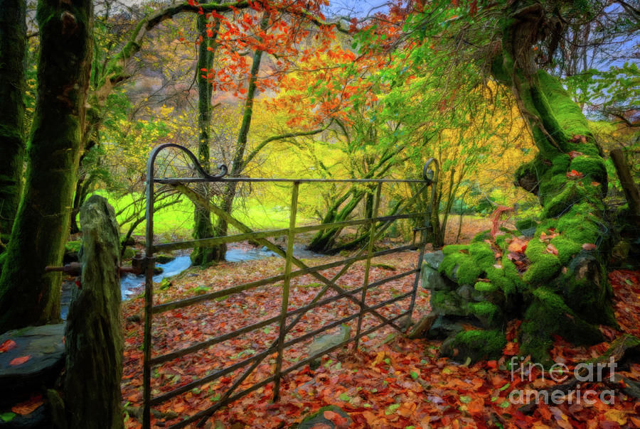Fall Photograph - Gate of Autumn Art by Adrian Evans