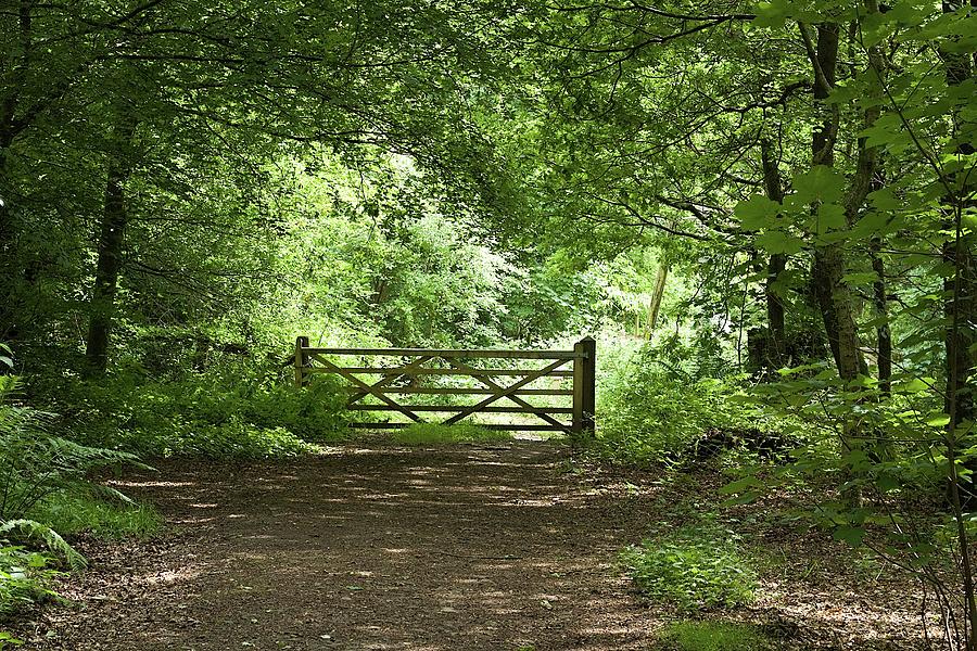 Gate to peace Photograph by Watto Photos - Fine Art America